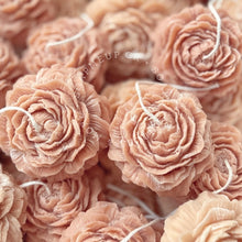 Φόρτωση εικόνας στο εργαλείο προβολής Συλλογής, ΠΑΙΩΝΙΑ