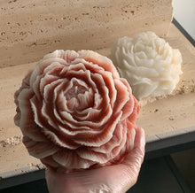 Φόρτωση εικόνας στο εργαλείο προβολής Συλλογής, ΠΑΙΩΝΙΑ