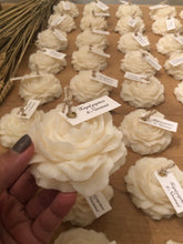 Φόρτωση εικόνας στο εργαλείο προβολής Συλλογής, ΠΑΙΩΝΙΑ