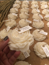 Φόρτωση εικόνας στο εργαλείο προβολής Συλλογής, ΠΑΙΩΝΙΑ