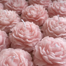 Φόρτωση εικόνας στο εργαλείο προβολής Συλλογής, ΠΑΙΩΝΙΑ