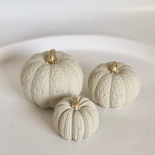 Φόρτωση εικόνας στο εργαλείο προβολής Συλλογής, ΚΕΡΑΜΙΚΕΣ ΚΟΛΟΚΥΘΕΣ