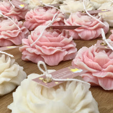 Φόρτωση εικόνας στο εργαλείο προβολής Συλλογής, ΠΑΙΩΝΙΑ