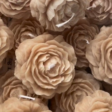 Φόρτωση εικόνας στο εργαλείο προβολής Συλλογής, ΠΑΙΩΝΙΑ