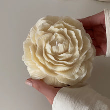 Φόρτωση εικόνας στο εργαλείο προβολής Συλλογής, ΠΑΙΩΝΙΑ