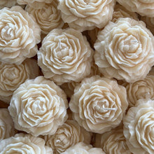 Φόρτωση εικόνας στο εργαλείο προβολής Συλλογής, ΠΑΙΩΝΙΑ