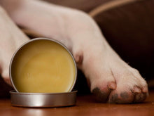 Φόρτωση εικόνας στο εργαλείο προβολής Συλλογής, ΑΝΑΠΛΑΣΤΙΚΗ ΚΕΡΑΛΟΙΦΗ ΓΙΑ ΜΥΤΗ & ΠΑΤΟΥΣΕΣ