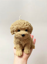 Φόρτωση εικόνας στο εργαλείο προβολής Συλλογής, PUPPY