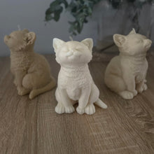 Φόρτωση εικόνας στο εργαλείο προβολής Συλλογής, KITTY