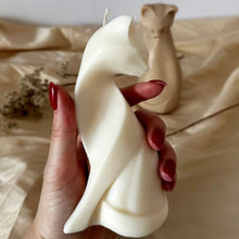 Upload an image to the Gallery viewer, CAT