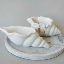 Φόρτωση εικόνας στο εργαλείο προβολής Συλλογής, ΚΟΧΥΛΙ