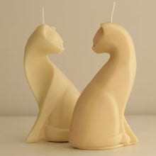 Upload an image to the Gallery viewer, CAT