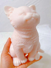 Φόρτωση εικόνας στο εργαλείο προβολής Συλλογής, KITTY