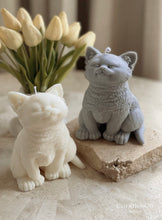 Φόρτωση εικόνας στο εργαλείο προβολής Συλλογής, KITTY