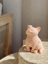 Φόρτωση εικόνας στο εργαλείο προβολής Συλλογής, KITTY