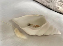 Φόρτωση εικόνας στο εργαλείο προβολής Συλλογής, ΚΟΧΥΛΙ