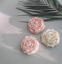 Φόρτωση εικόνας στο εργαλείο προβολής Συλλογής, ΠΑΙΩΝΙΑ