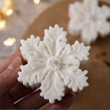 Φόρτωση εικόνας στο εργαλείο προβολής Συλλογής, ΧΙΟΝΟΝΙΦΑΔΑ