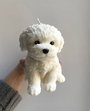 Φόρτωση εικόνας στο εργαλείο προβολής Συλλογής, PUPPY