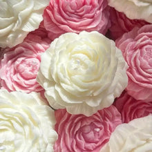 Φόρτωση εικόνας στο εργαλείο προβολής Συλλογής, ΠΑΙΩΝΙΑ