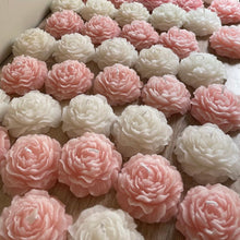 Φόρτωση εικόνας στο εργαλείο προβολής Συλλογής, ΠΑΙΩΝΙΑ