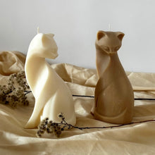 Upload an image to the Gallery viewer, CAT