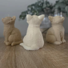 Φόρτωση εικόνας στο εργαλείο προβολής Συλλογής, KITTY