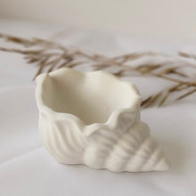 Φόρτωση εικόνας στο εργαλείο προβολής Συλλογής, ΚΟΧΥΛΙ