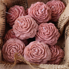 Φόρτωση εικόνας στο εργαλείο προβολής Συλλογής, ΠΑΙΩΝΙΑ