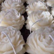 Φόρτωση εικόνας στο εργαλείο προβολής Συλλογής, ΠΑΙΩΝΙΑ