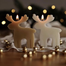 Upload an image to the Gallery viewer, RUDOLPH
