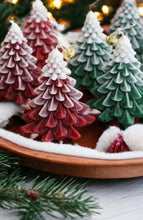 Upload an image to the Gallery viewer, PINE XMAS TREE
