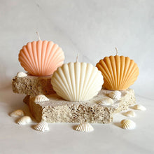 Upload an image to the Gallery viewer, MINI SEA SHELL
