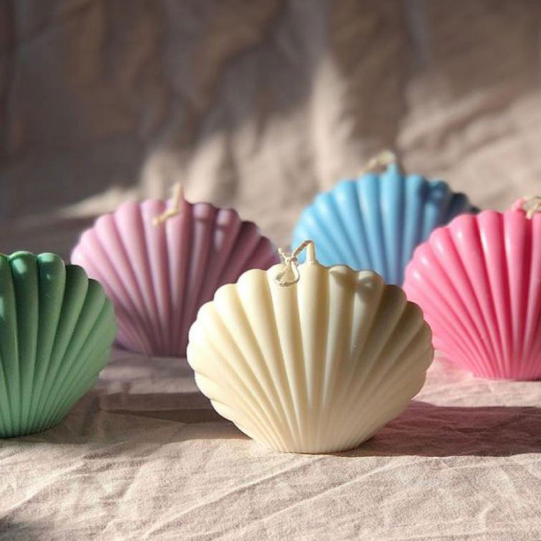 MINI SEA SHELL