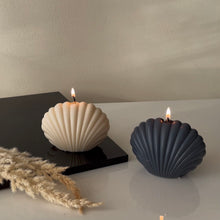 Upload an image to the Gallery viewer, SEA SHELL
