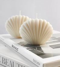 Upload an image to the Gallery viewer, SEA SHELL
