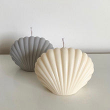 Upload an image to the Gallery viewer, SEA SHELL
